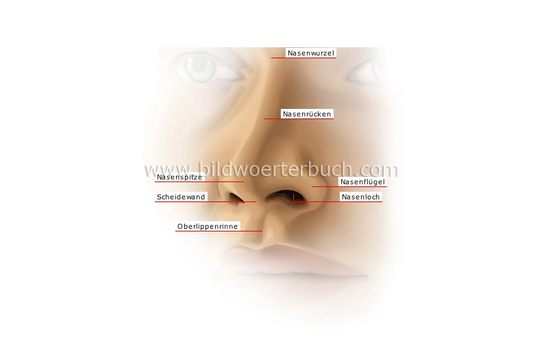 external nose image