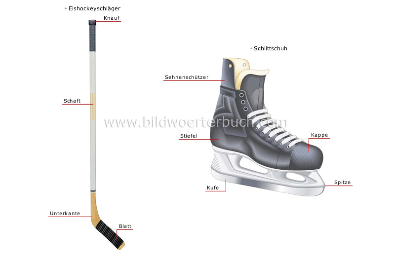 ice hockey player image