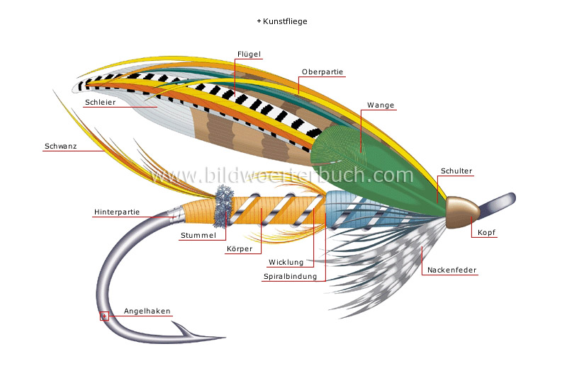 Fliegenfischen Bild