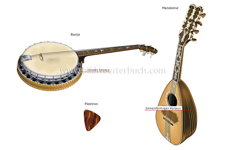 traditional musical instruments image