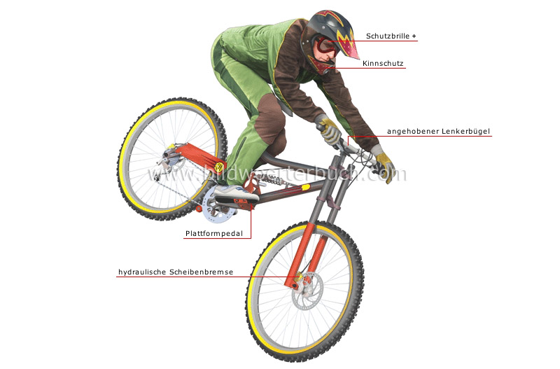 Downhillrad und Fahrer Bild